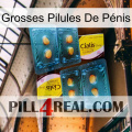 Grosses Pilules De Pénis cialis5